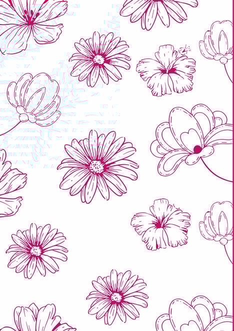 fond_blanc_1